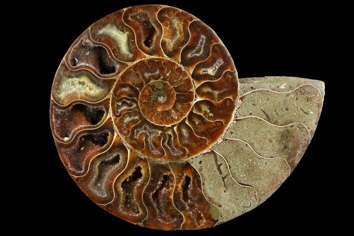 Agatized Ammonite Fossil (Half) - Crystal Chambers #111491